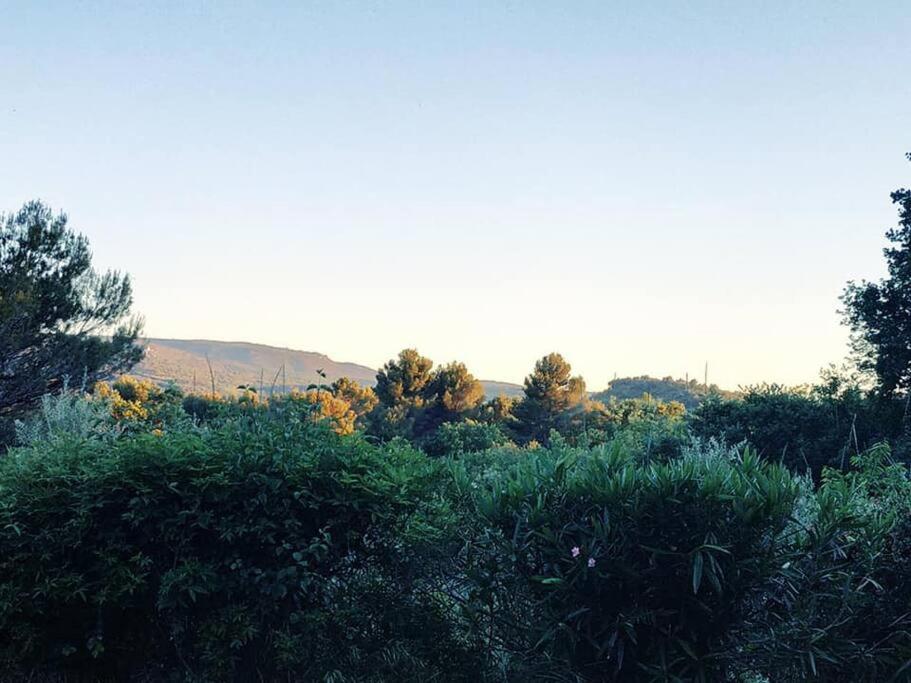 Entre Ventoux Et Luberon, Appartement Dans Maison. Malemort-du-Comtat 외부 사진