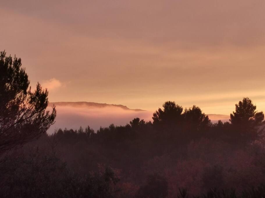Entre Ventoux Et Luberon, Appartement Dans Maison. Malemort-du-Comtat 외부 사진