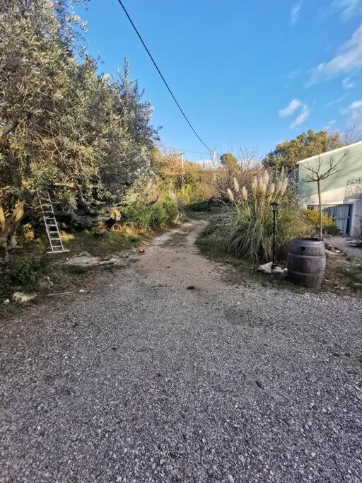 Entre Ventoux Et Luberon, Appartement Dans Maison. Malemort-du-Comtat 외부 사진