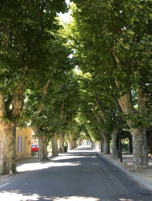 Entre Ventoux Et Luberon, Appartement Dans Maison. Malemort-du-Comtat 외부 사진